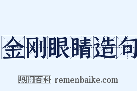 金刚眼睛造句是什么意思的图片